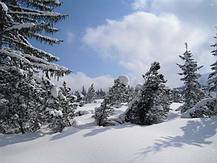 Winterlandschaft beim L�ckersee
