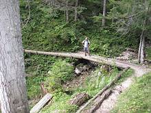 der Waldweg f�hrt an auch an kleinen B�chen vorbei