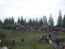 von der Iglmoosalm gings weiter im Traktoranh�nger hinunter ins Tal