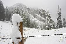 20 cm Neuschnee auf der Rossalm