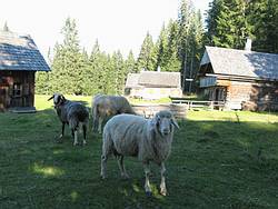Jeder Schleifsteinhauer hat seine eigene Hütte