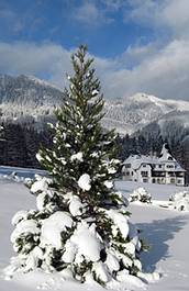 Winter in Gosau