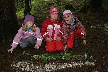 f�r ein Naturmemory gibt es im Wald alle Zutaten